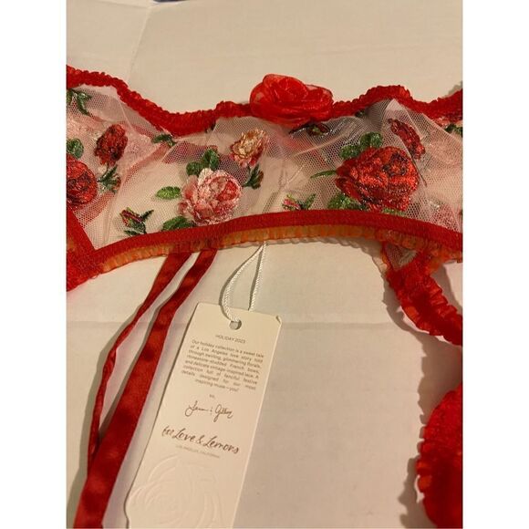 Victoria’s Secret For Love & Lemons Roses Lace Lattice GARTER BELT & Thongs NWT - Picture 12 of 14